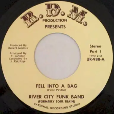 Fell Into a Bag