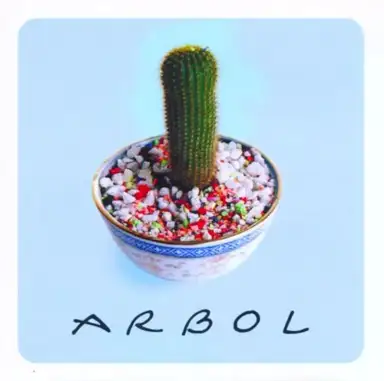 Árbol