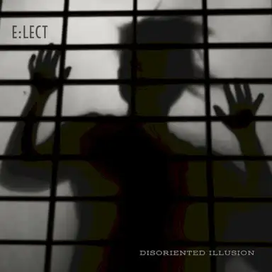 Disoriented Illusion