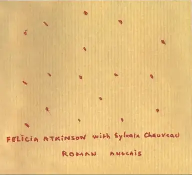 Roman anglais