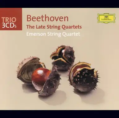 The Late String Quartets