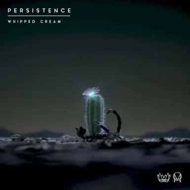 Persistence