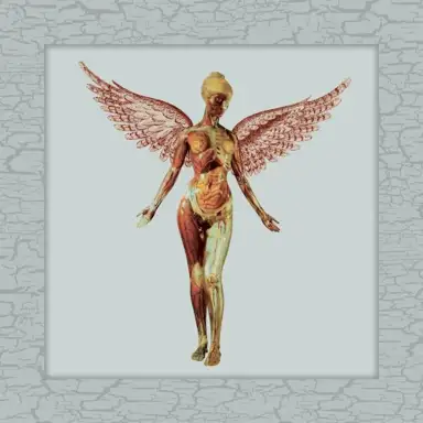 In Utero 30th Live