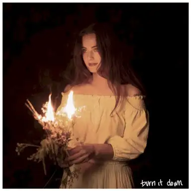 Burn It Down