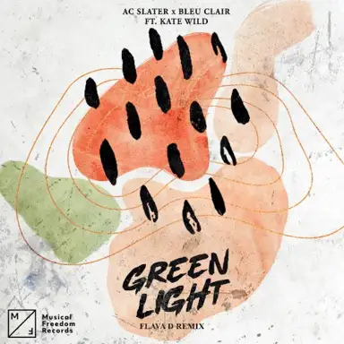 Green Light (Flava D extended remix)