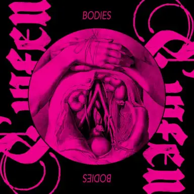 Bodies
