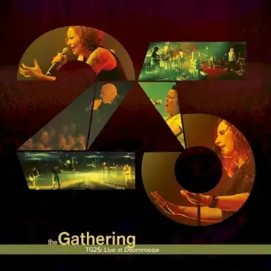 TG25: Live at Doornroosje