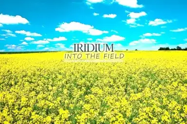 Into the Field