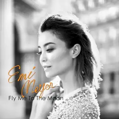 Fly Me to the Moon