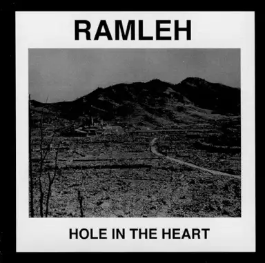 Hole in the Heart
