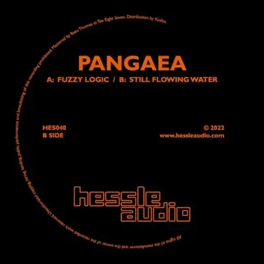 Fuzzy Logic / Still Flowing Water