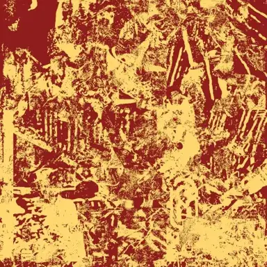 WSDM 008