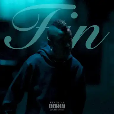 Fin