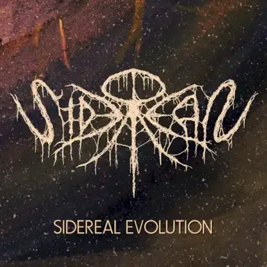 Sidereal Evolution