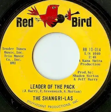 Leader of the Pack / What Is Love