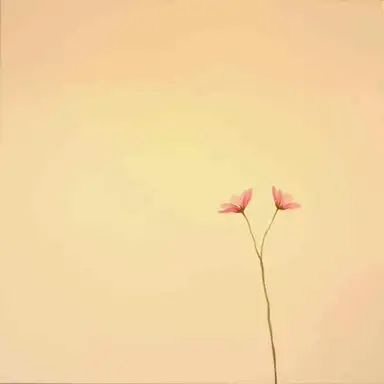 Sense