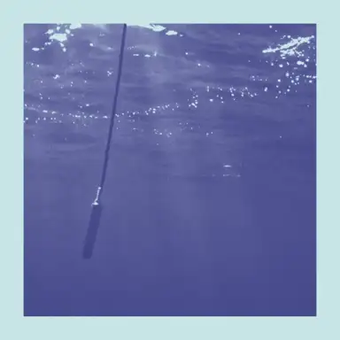 La Baleine et Le Musicien (Edit)