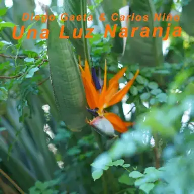 Una Luz Naranja