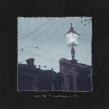Blue Black Crows