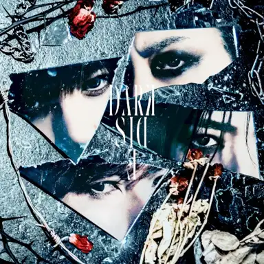 Dark side