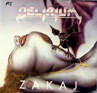 Zakaj