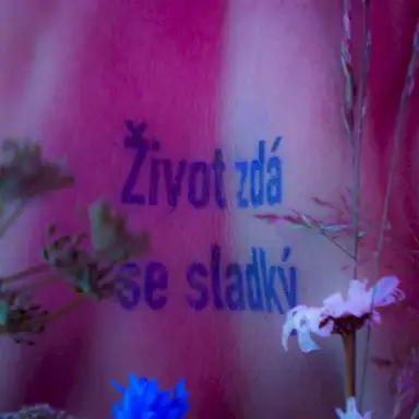 Život zdá se sladký