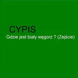 Gdzie jest biały węgorz? (Zejśćie)