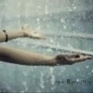 雨