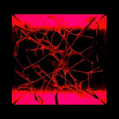 Flashforward (Squid remix)