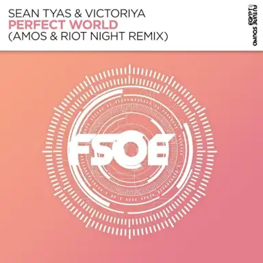 Perfect World (Amos & Riot Night remix)