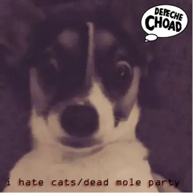 I HATE CATS / DEAD MOLE PARTY