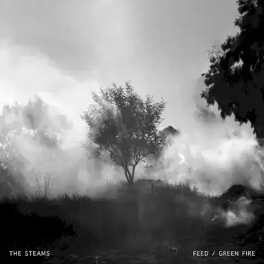 Feed / Green Fire