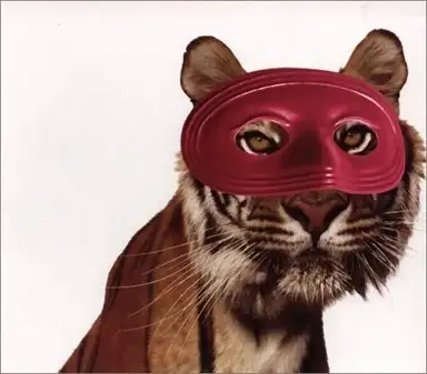 Ham
