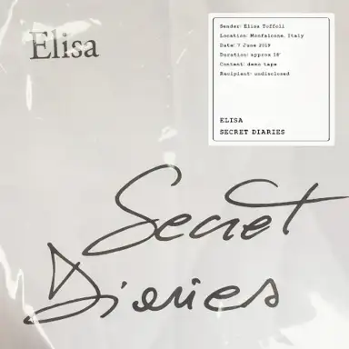 Secret Diaries