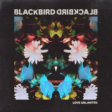 Love Unlimited