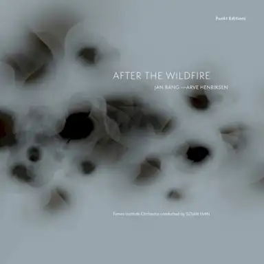 After the Wildfire