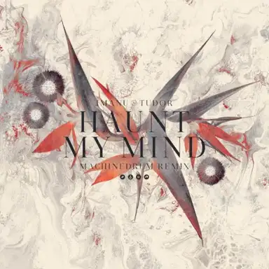 Haunt My Mind (Machinedrum remix)