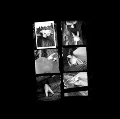 Out of Field EP