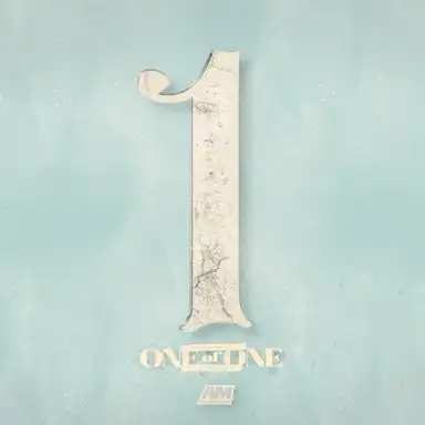 One of One