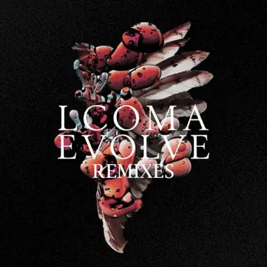 Evolve Remixes