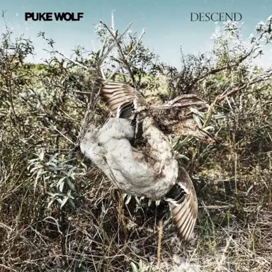 Descend