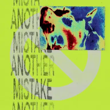 Another Mistake