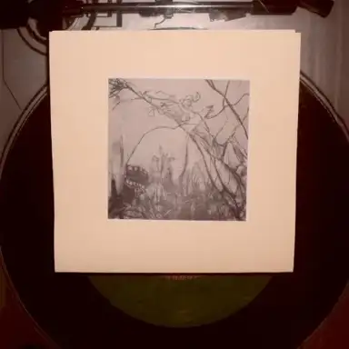 big web seven inch