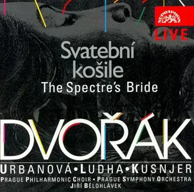 Svatební košile