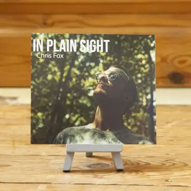IN PLAIN SIGHT