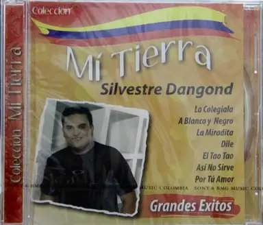 Mi fiesta