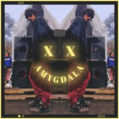 XX