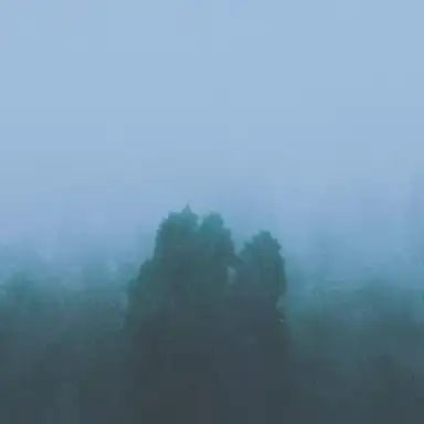 Collisions
