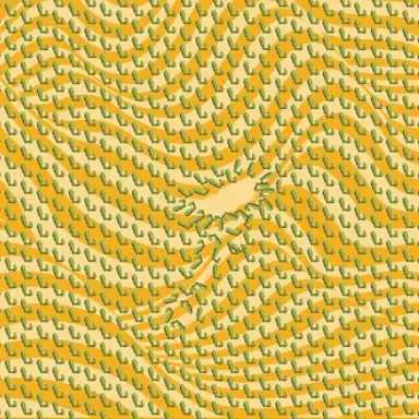 former kingdoms