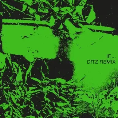 If.... (Ditz remix)